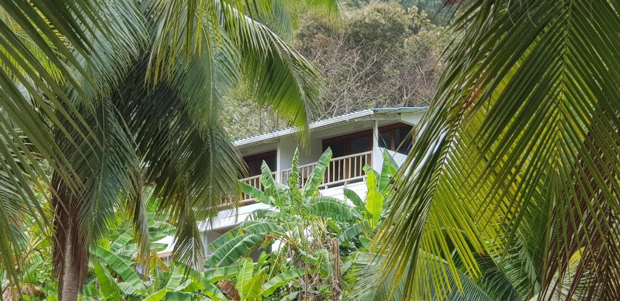 Vista Caribe Hotel Портобело Екстериор снимка